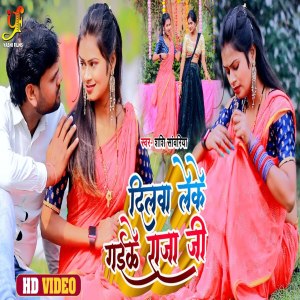 ดาวน์โหลดและฟังเพลง Dilva Leke Gaile Raja Ji พร้อมเนื้อเพลงจาก Shashi Sawariya