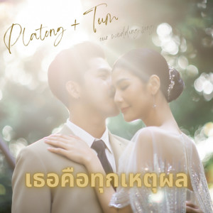 Listen to เธอคือทุกเหตุผล song with lyrics from ปลาทอง ธัญนันท์