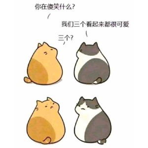 收聽秋桐的吳哥窟 (cover: 吳雨霏) (完整版)歌詞歌曲