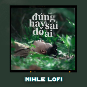 BMZ的專輯Đúng Hay Sai Do Ai (Mihle Lofi)