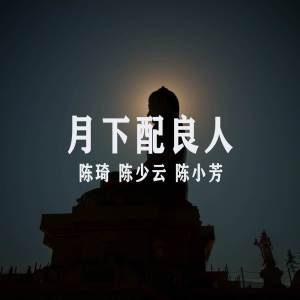 Album 月下配良人 (Remix) oleh 陈琦
