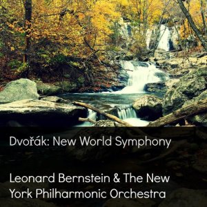 ดาวน์โหลดและฟังเพลง Symphony No. 9 in E Minor, Op. 95: IV. Allegro con fuoco (其他) พร้อมเนื้อเพลงจาก Leonard Bernstein