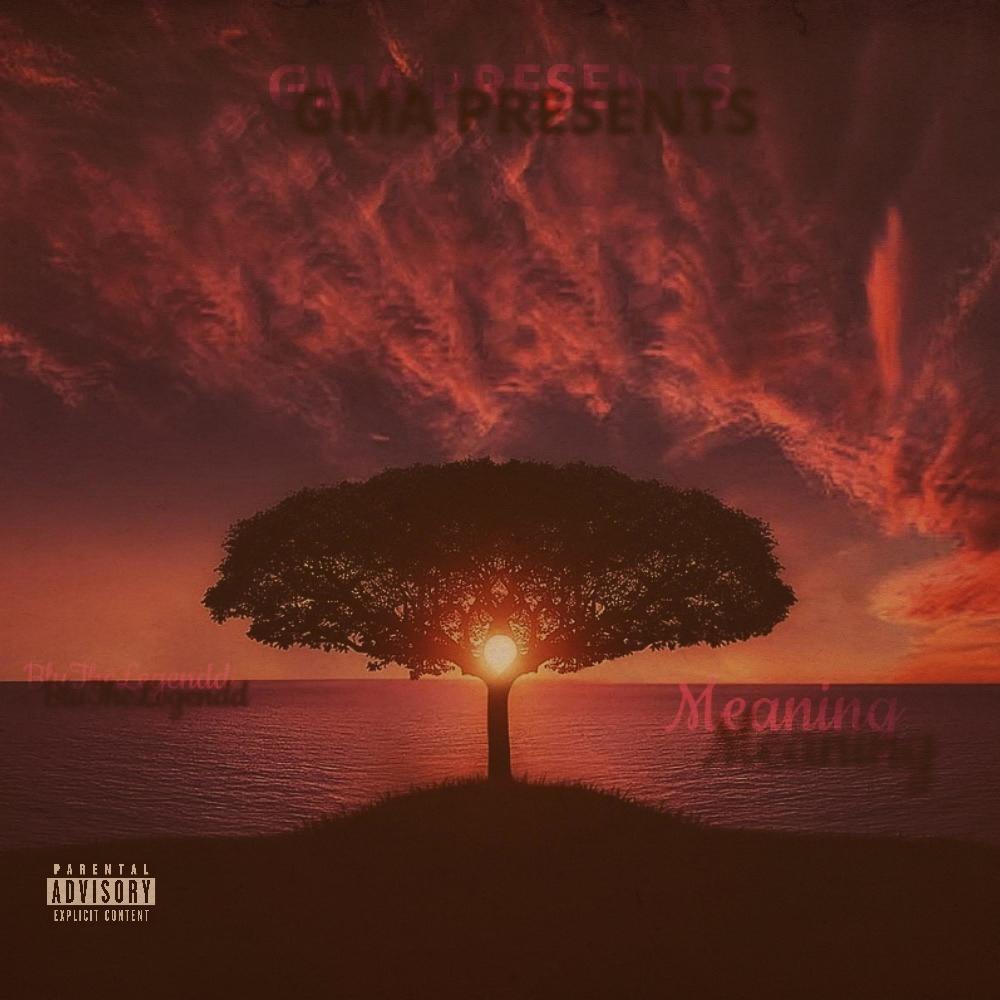 Meaning (Explicit)