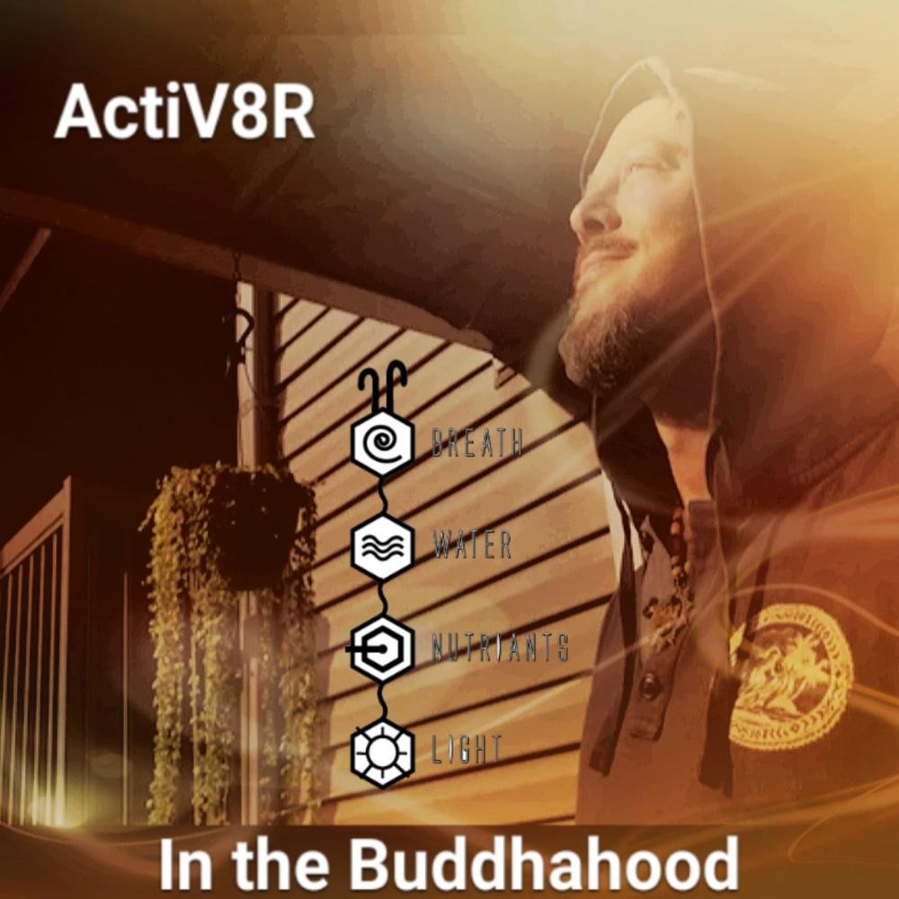 In the Buddhahood(feat. Stephanie Rae Grenier DC) (432hz tuning with crystal bowls)