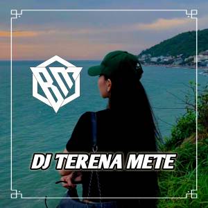 Album DJ Terena Mete Mengkane from Brantas Music