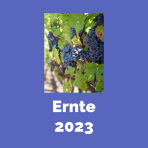 Various Artists的專輯Ernte 2023