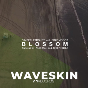 Dengarkan lagu Blossom (Alex Man Remix) nyanyian Simber dengan lirik