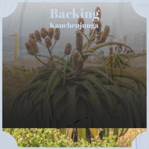 Listen to Ich Sha song with lyrics from Louce Blar