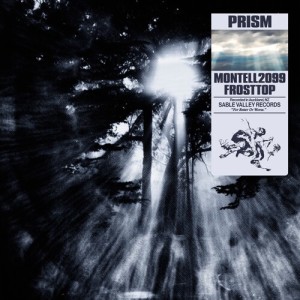 Montell2099的專輯PRISM