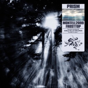 Listen to PRISM song with lyrics from Montell2099