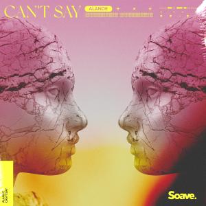 Album Can't Say from Alande