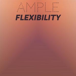 Dengarkan Ample Flexibility lagu dari Feben dengan lirik