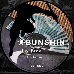 ดาวน์โหลดและฟังเพลง Bice To Have พร้อมเนื้อเพลงจาก Jay Etez