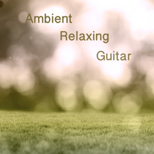 Listen to Canon in D Major For Guitar song with lyrics from Henrik Janson