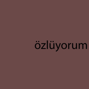 收聽Aslak的Özlüyorum歌詞歌曲