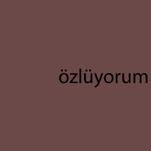 Aslak的專輯Özlüyorum