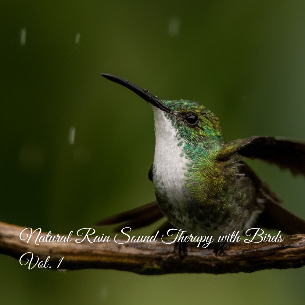 Tweet Tweet Rain