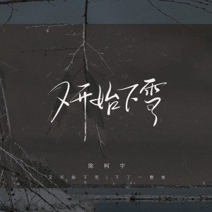 Album 又开始下雪 from 陈柯宇