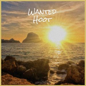 Album Wanted Hoot from Various