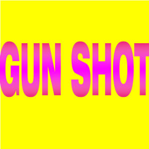 Diamonds的專輯Gun Shot - Single