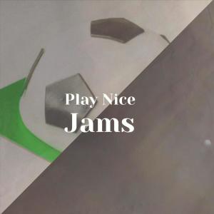 Album Play Nice Jams oleh Various