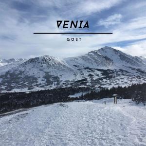 Venia的專輯gust