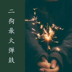 收聽張酷的二狗最火彈鼓歌詞歌曲