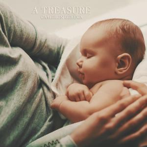 ดาวน์โหลดและฟังเพลง A treasure พร้อมเนื้อเพลงจาก Cameron DeLuca