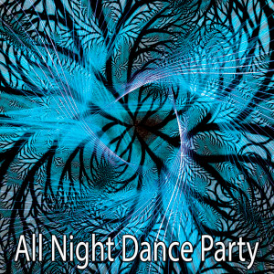 Ultimate Dance Hits的專輯All Night Dance Party