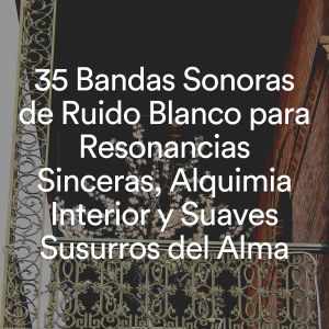 Album 35 Bandas Sonoras de Ruido Blanco para Resonancias Sinceras, Alquimia Interior y Suaves Susurros del Alma from 