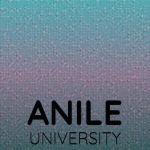 Various的专辑Anile University