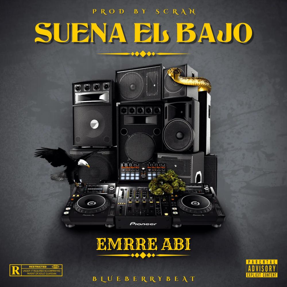 suena el bajo (feat. Emrre abi)