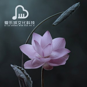 收聽明媚陽光的半壺茶（五音療疾 鋼琴曲）歌詞歌曲