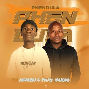 Listen to Phendula song with lyrics from Aembu