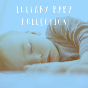 Album Lullaby Baby Collection from Baby Lullaby