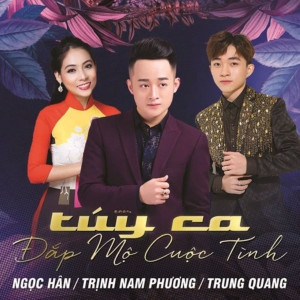 收聽Trịnh Nam Phương的Hương Tình Muộn歌詞歌曲