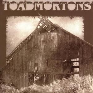 ดาวน์โหลดและฟังเพลง Armor พร้อมเนื้อเพลงจาก The Toadmortons