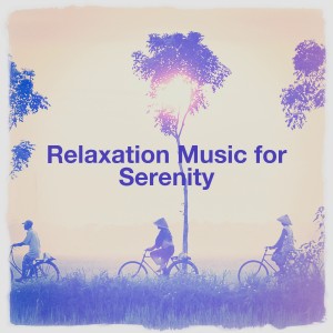 อัลบัม Relaxation Music for Serenity ศิลปิน Relaxation and Meditation