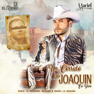 收聽Mario "El Cachorro" Delgado的Un Corrido Pa' Joaquín (En Vivo)歌詞歌曲