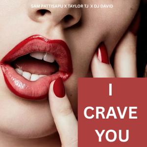 Sam Pattisapu的專輯I Crave You (feat. Taylor TJ & DJ David)