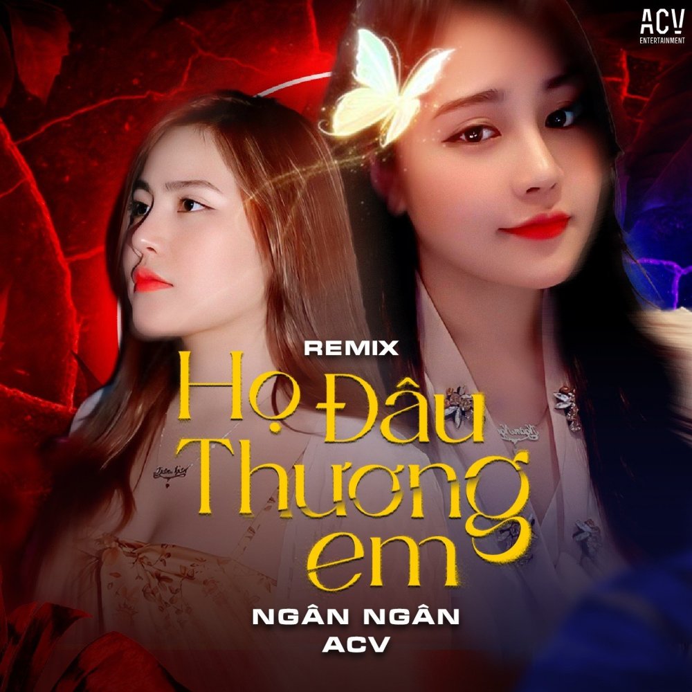 Họ Đâu Thương Em (Andy Remix Instrumental)