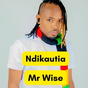 Ndikautia dari Mr Wise