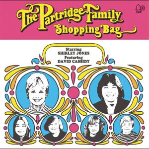 收聽The Partridge Family的Am I Losing You歌詞歌曲