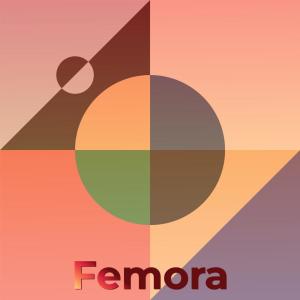 Dengarkan Highest Casual lagu dari Maitus Javo dengan lirik