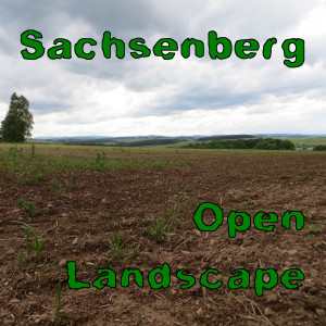 Album Open Landscape oleh Sachsenberg