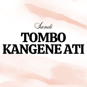 Listen to Tombo Kangen Ati song with lyrics from Sandi