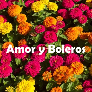 Varios Artistas的专辑Amor y Boleros