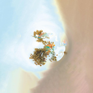 The Things We See When We Look Closer dari Sam Goku