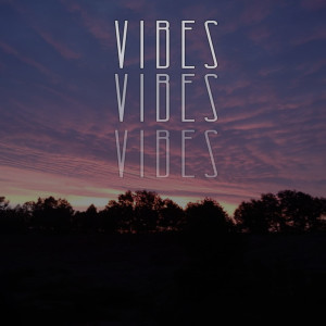 ดาวน์โหลดและฟังเพลง Vibes (Original Mix) พร้อมเนื้อเพลงจาก SAVAGX PLVYA