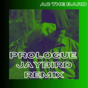 Jaybird的專輯Prologue (JayBird Remix)